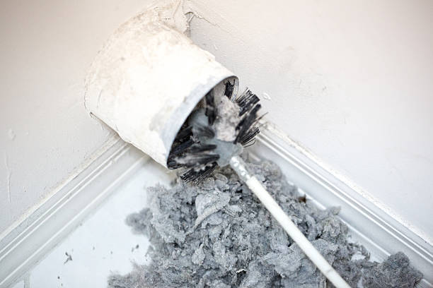 Air Duct Mold Removal in Mentone, IN