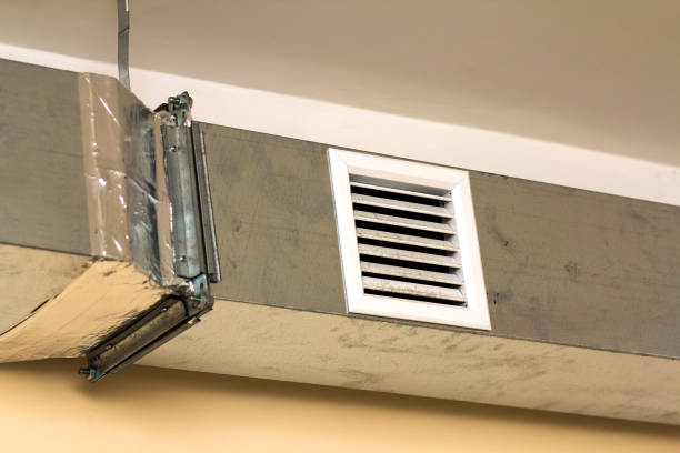 Best Professional Duct Cleaning Services  in Mentone, IN